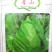 牛心甘蓝种子春甘蓝冬性强高产耐裂球尖包菜种子