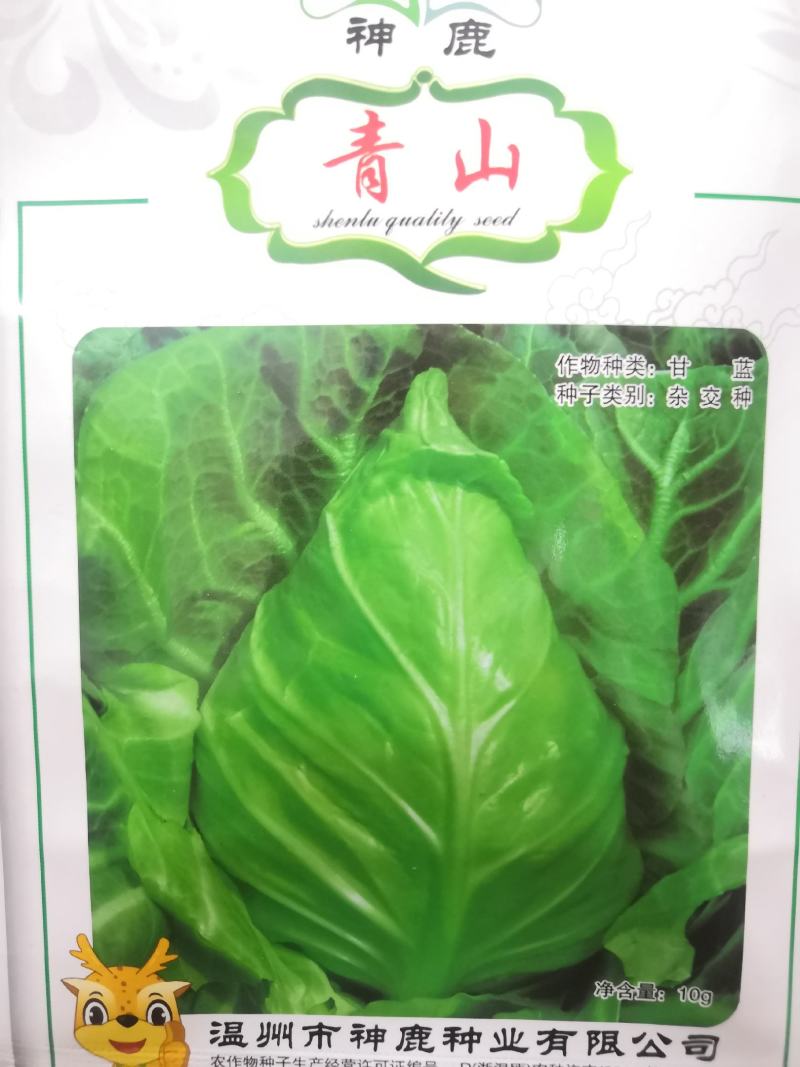 牛心甘蓝种子春甘蓝冬性强高产耐裂球尖包菜种子