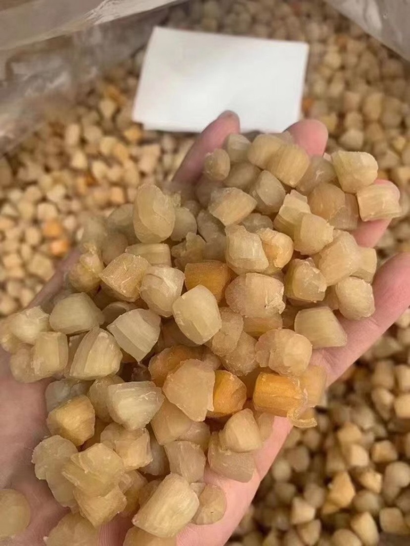 小瑶柱干货，干贝干货淡干干贝瑶柱干特价出了