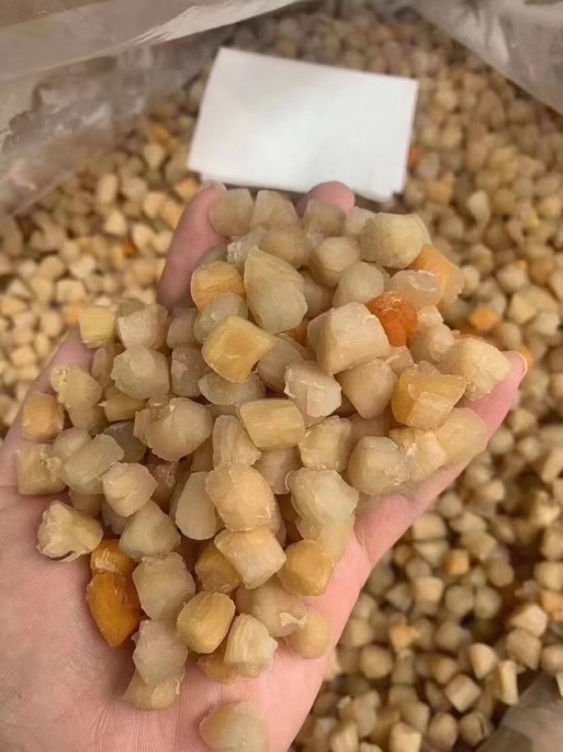 小瑶柱干货，干贝干货淡干干贝瑶柱干特价出了