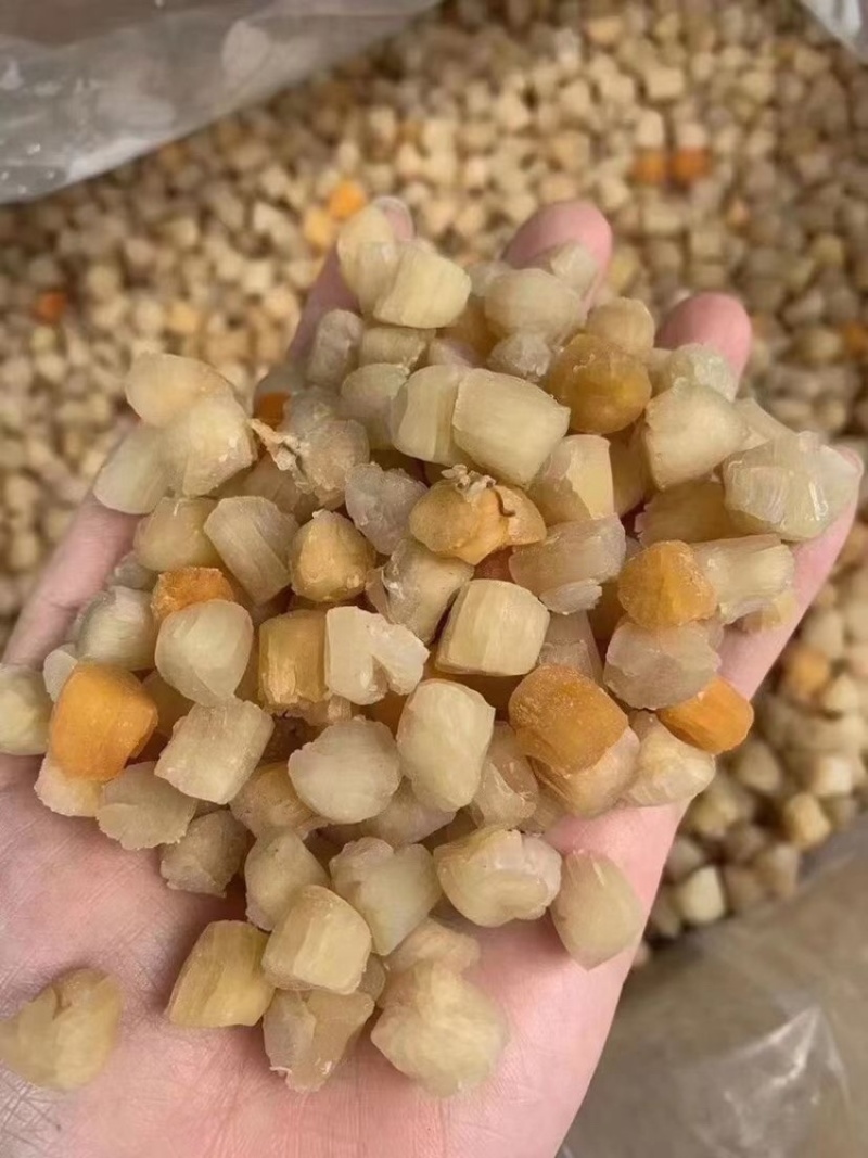 小瑶柱干货，干贝干货淡干干贝瑶柱干特价出了