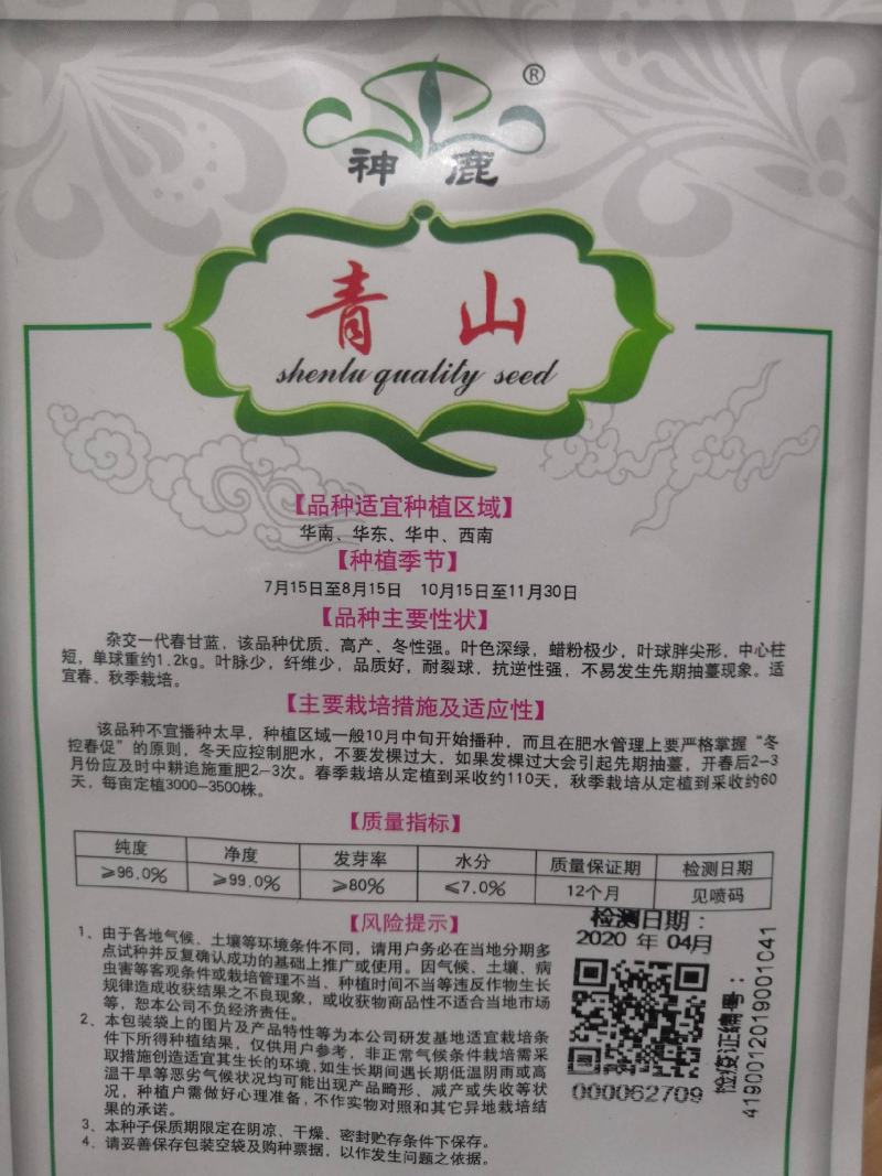 牛心甘蓝种子春甘蓝冬性强高产耐裂球尖包菜种子