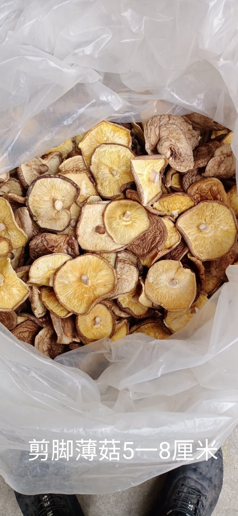 【聚便宜干香菇】产地批发各规格剪脚优质薄菇厚菇大片菜菇