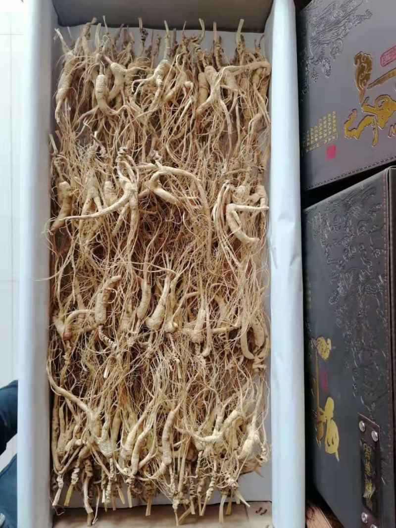 林下籽，高年头林下参吃货，仅次于野山参，半斤起售