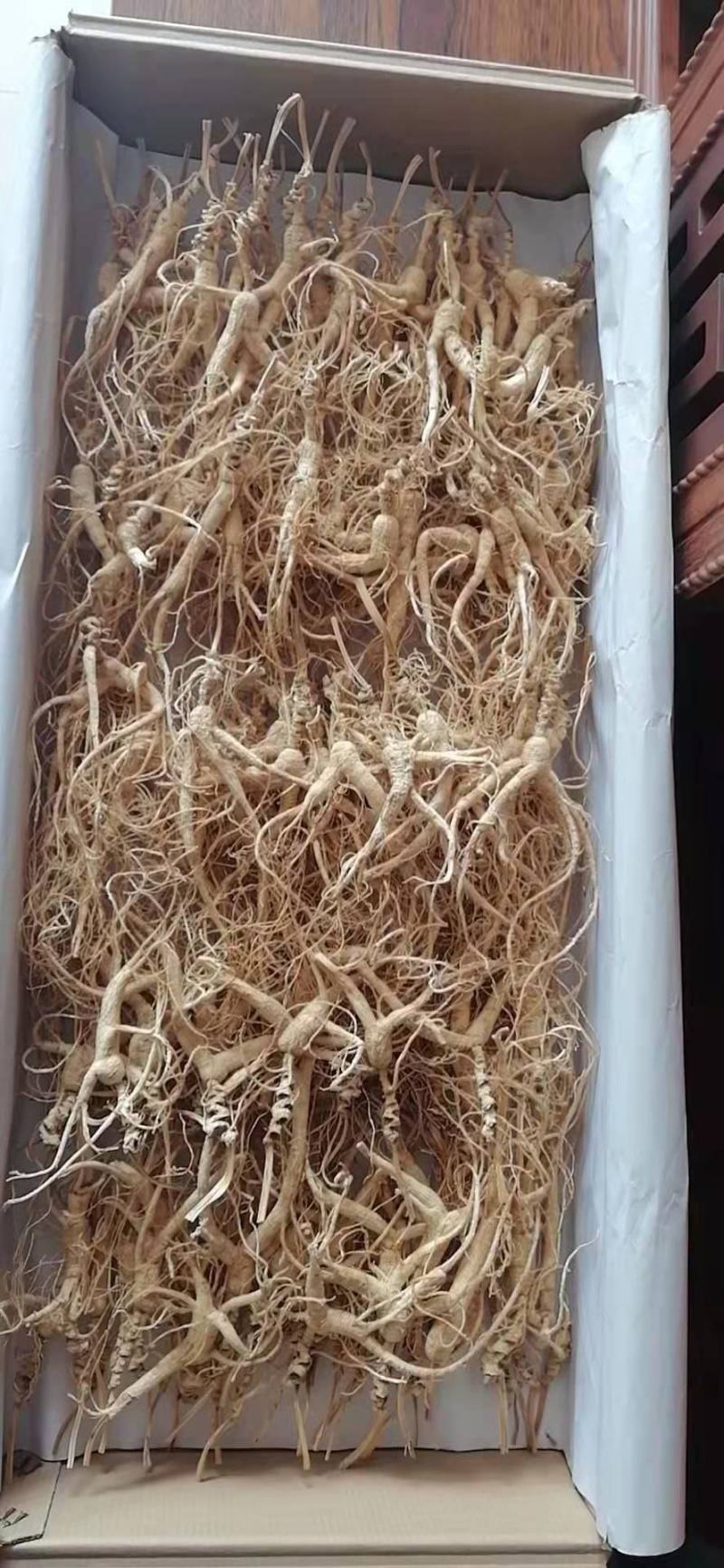 林下籽，高年头林下参吃货，仅次于野山参，半斤起售
