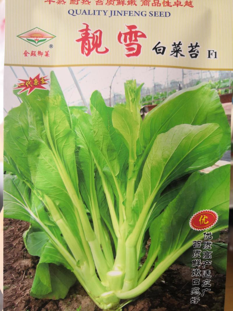 杂交白菜苔种子早熟，耐热，高产，苔粗鲜嫩