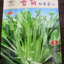 杂交白菜苔种子早熟，耐热，高产，苔粗鲜嫩