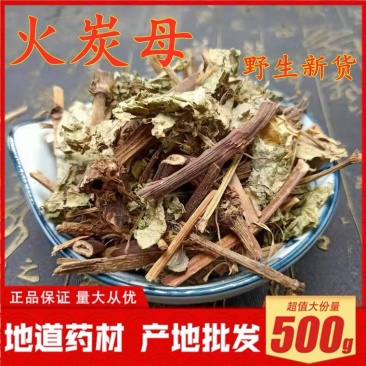 火炭母草火炭母野生货批发各种中药材产地直销
