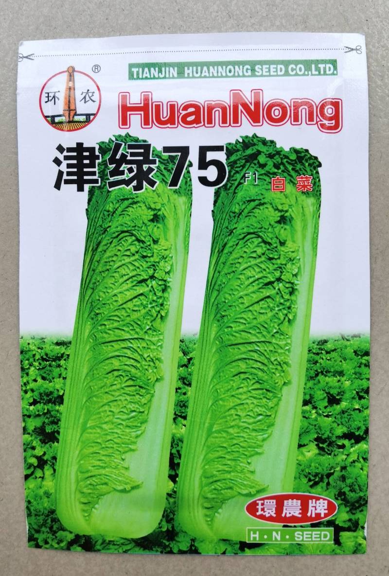 天津青麻叶菜种子大白菜种子津绿75无津长筒型高产绍菜