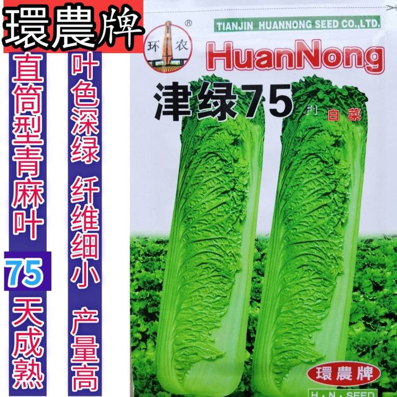 天津青麻叶菜种子大白菜种子津绿75无津长筒型高产绍菜