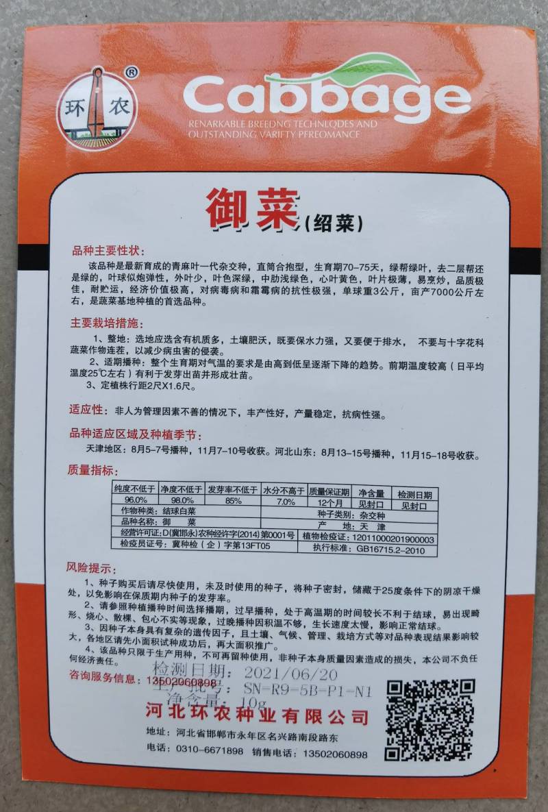 天津青麻叶菜种子大白菜种子津绿75无津长筒型高产绍菜