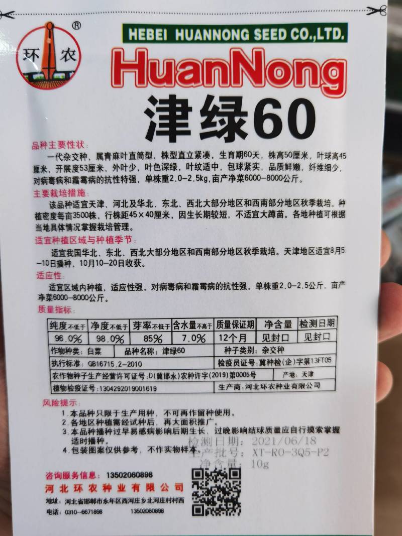 天津青麻叶菜种子大白菜种子津绿75无津长筒型高产绍菜