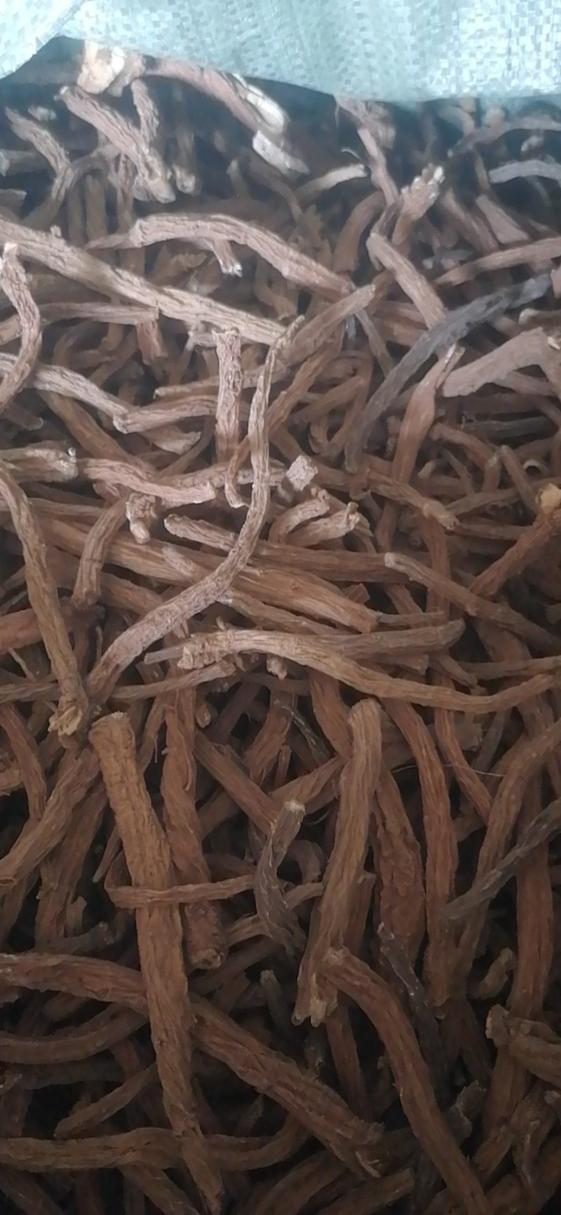 续断批发看上的老板欢迎订购