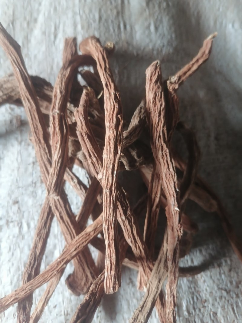 续断批发看上的老板欢迎订购