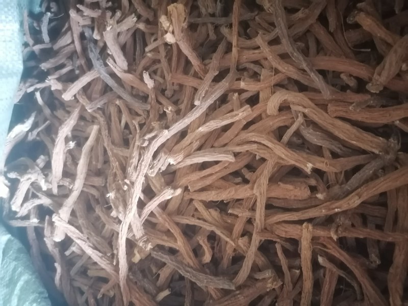 续断批发看上的老板欢迎订购