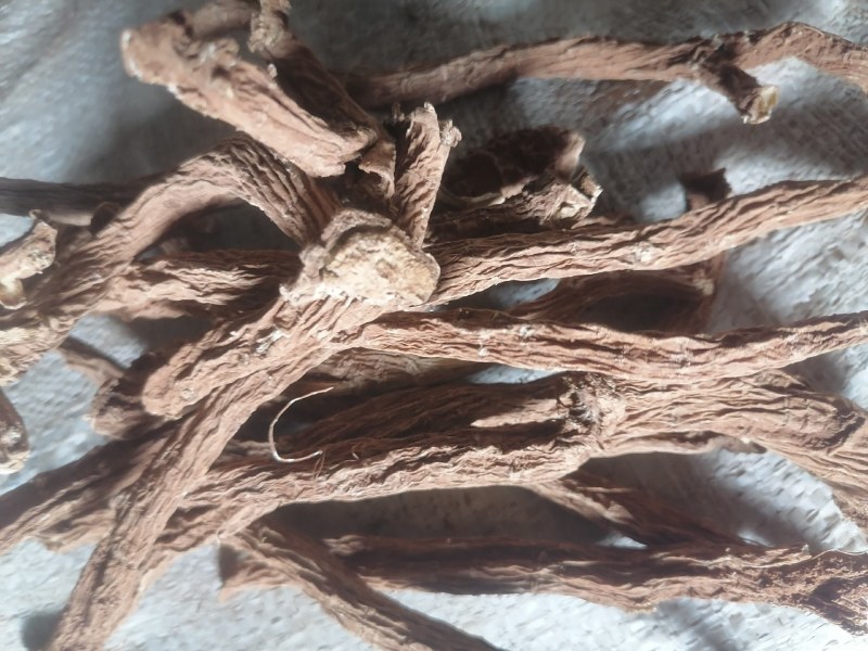 续断批发看上的老板欢迎订购