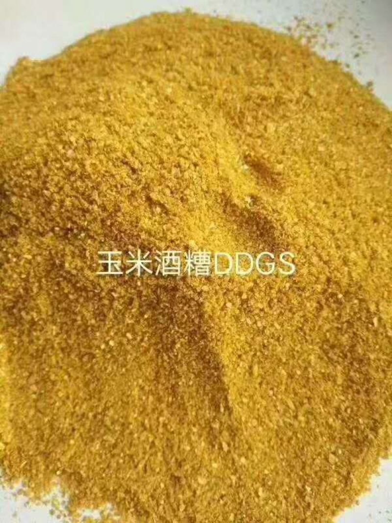 DDGS玉米酒糟，厂家直销，全国发货，诚信经营