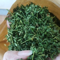 鸡骨草