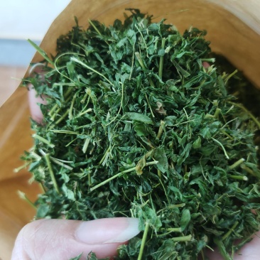 鸡骨草
