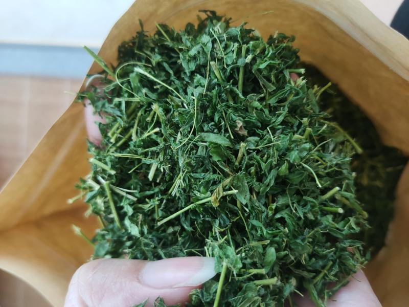 鸡骨草