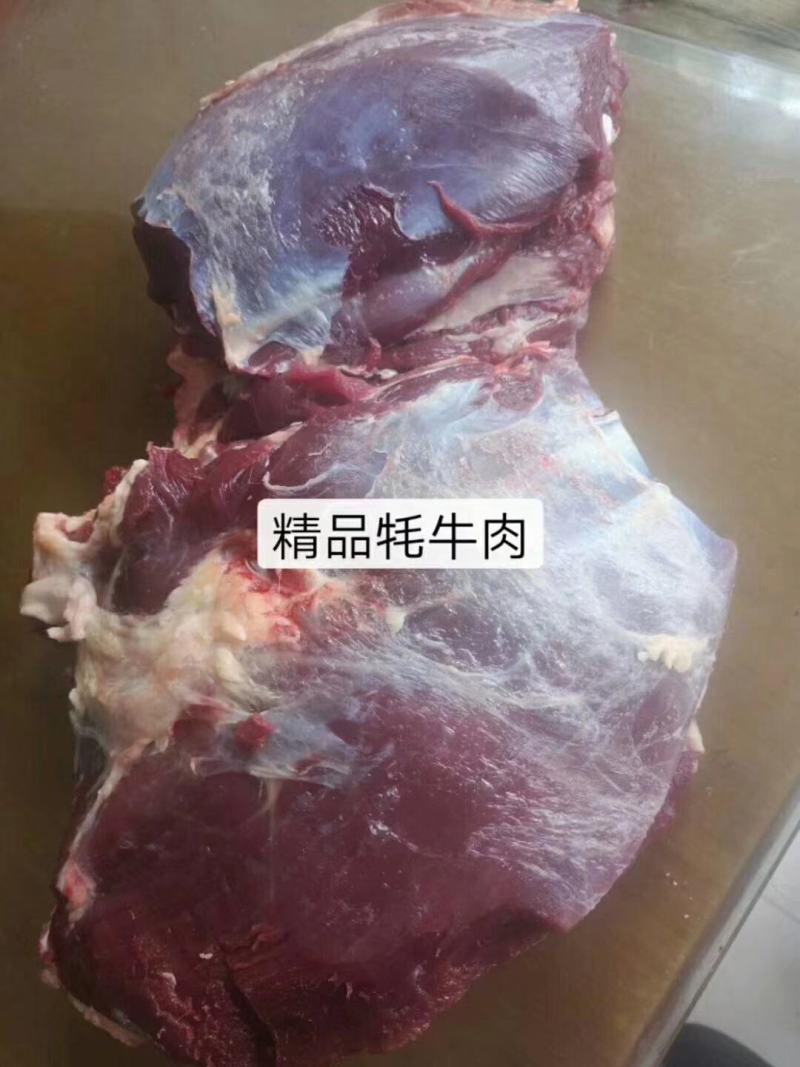四川阿坝新鲜牦牛肉全国包邮