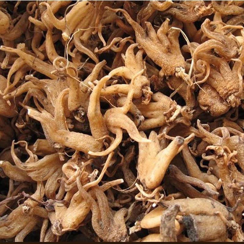 手掌参，手参，佛手参，掌参，手儿参，旺拉，阴阳草