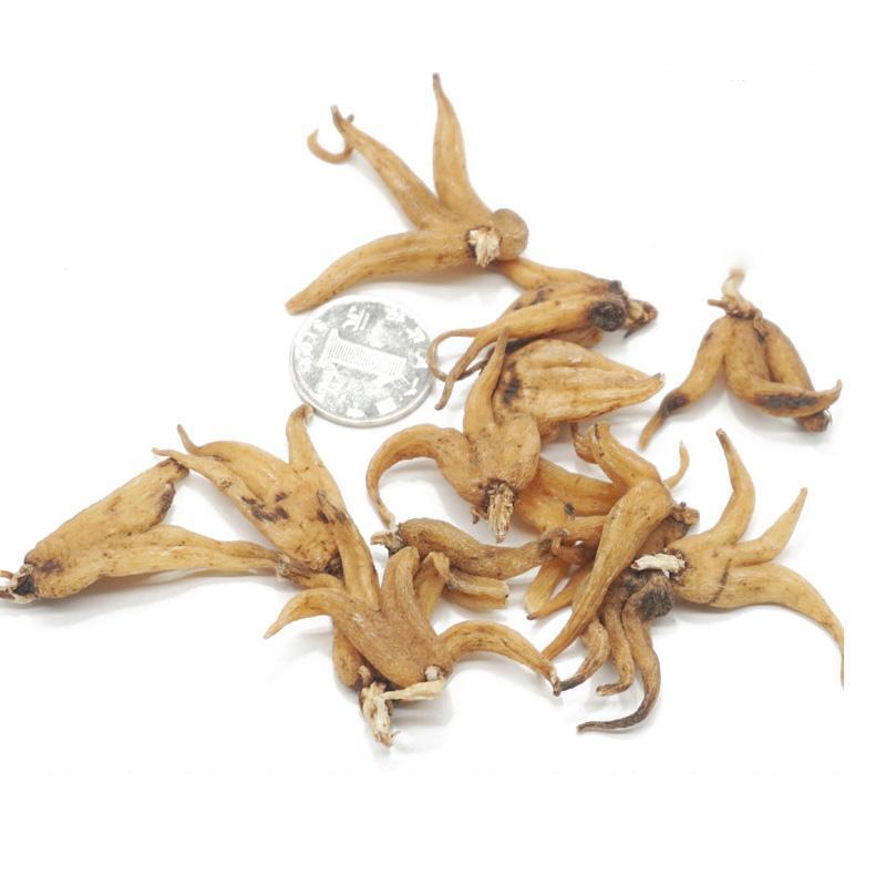 手掌参，手参，佛手参，掌参，手儿参，旺拉，阴阳草