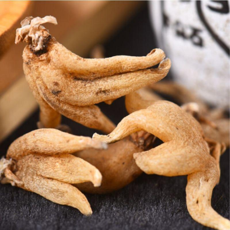 手掌参，手参，佛手参，掌参，手儿参，旺拉，阴阳草