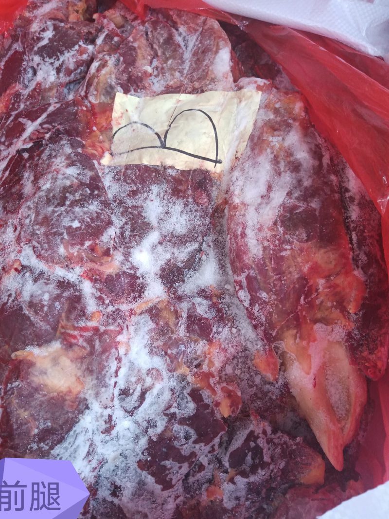 四分体精品马肉前腿精修去油刀工好颜色漂亮
