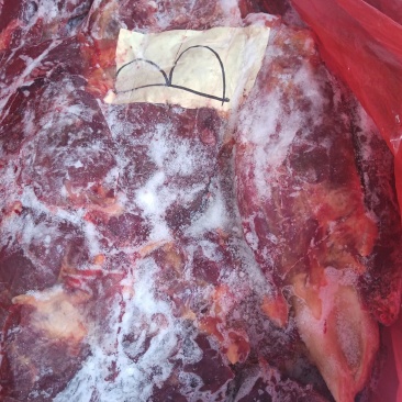 四分体精品马肉前腿精修去油刀工好颜色漂亮