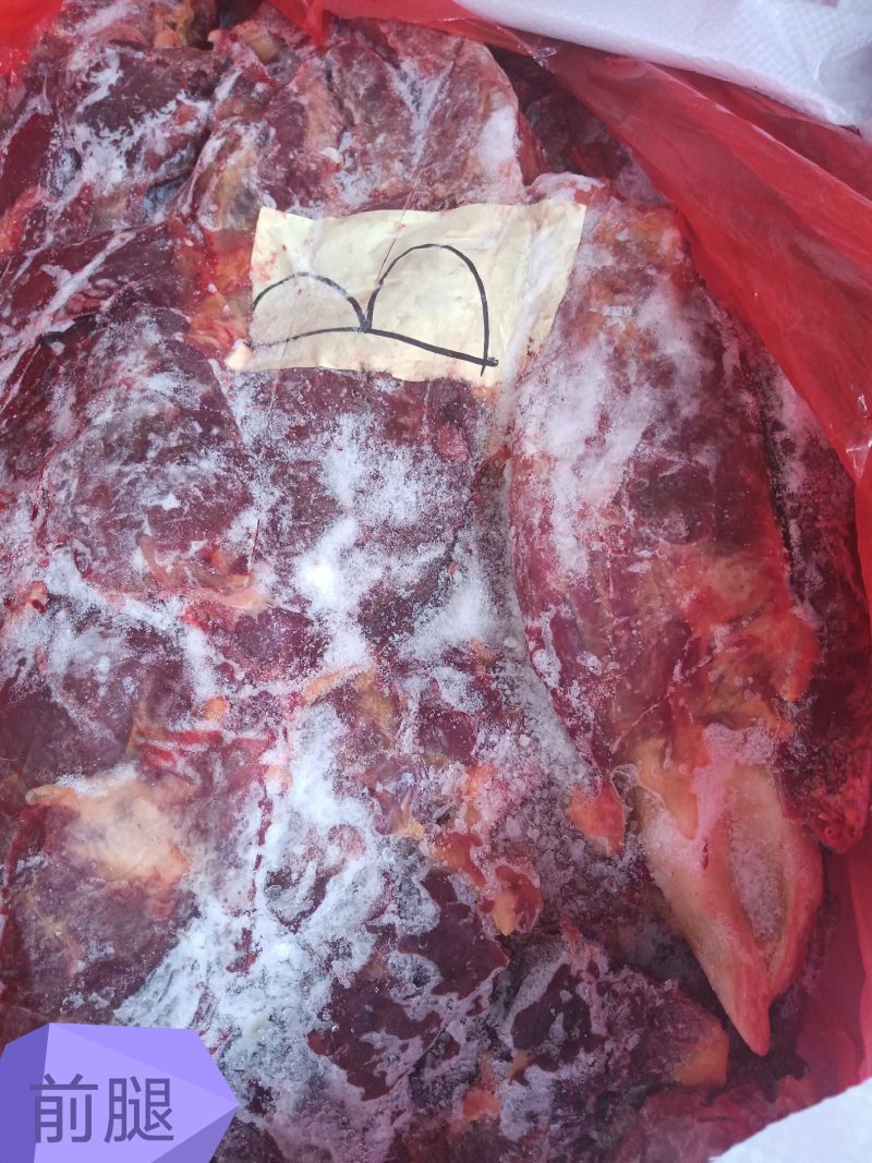 四分体精品马肉前腿精修去油刀工好颜色漂亮