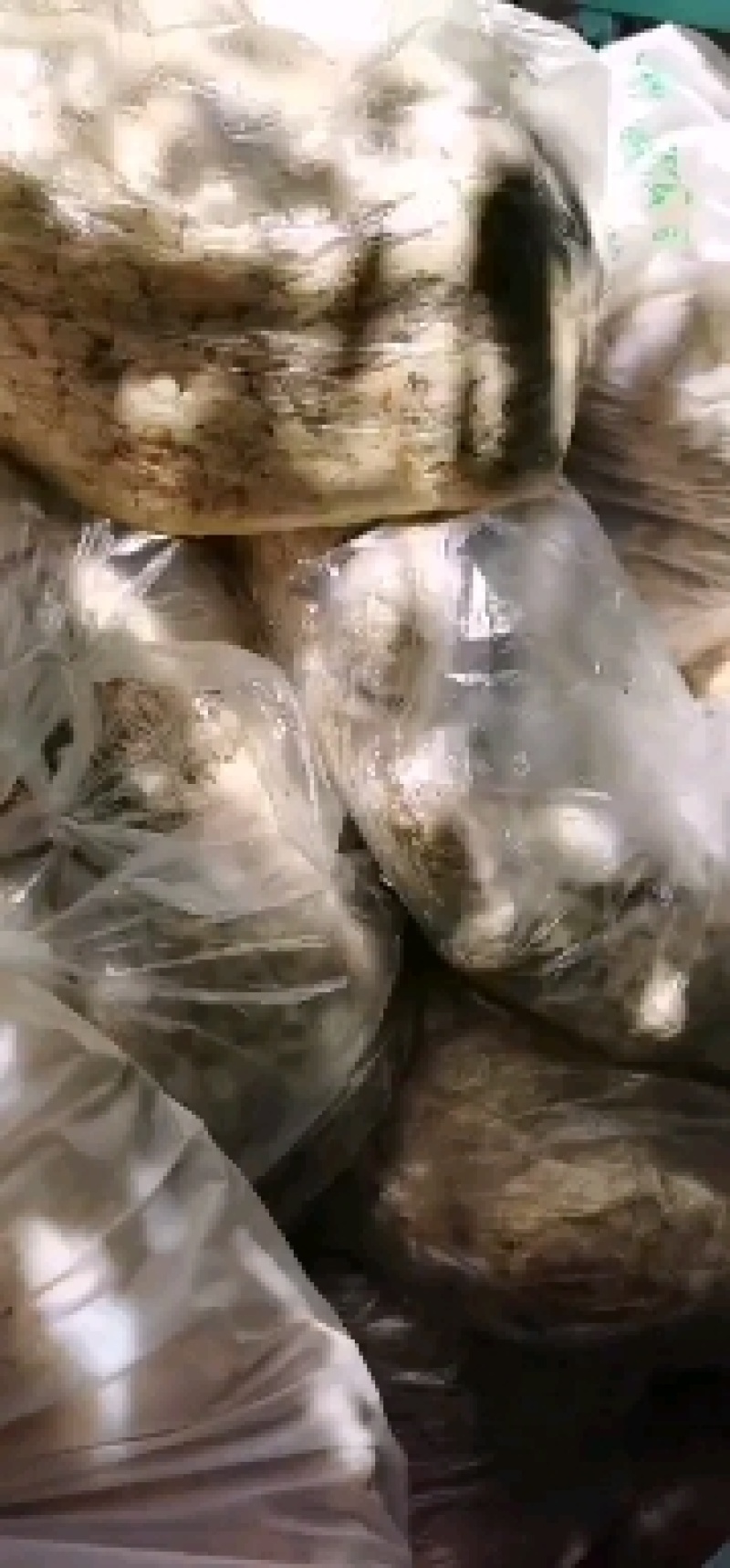 大白花