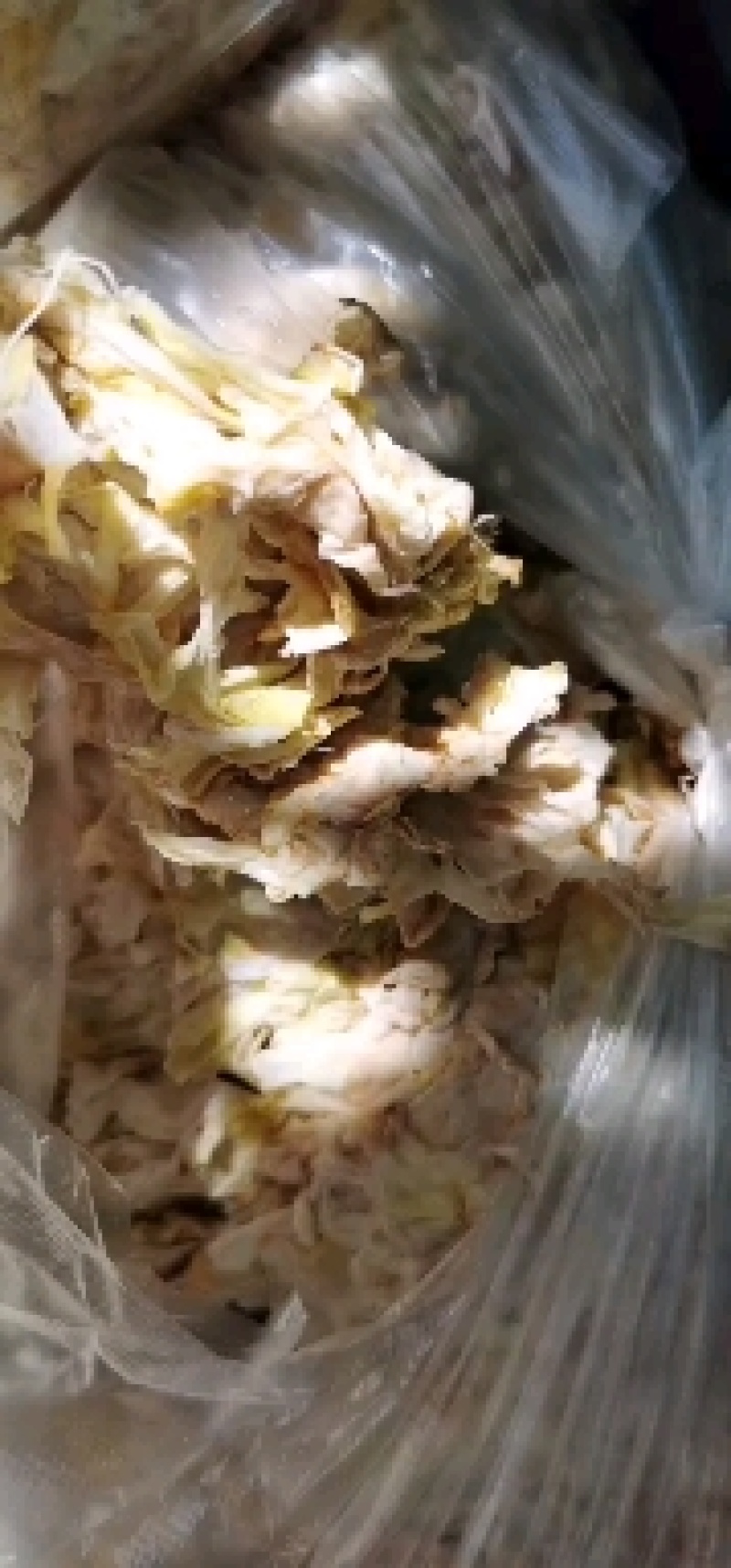 大白花