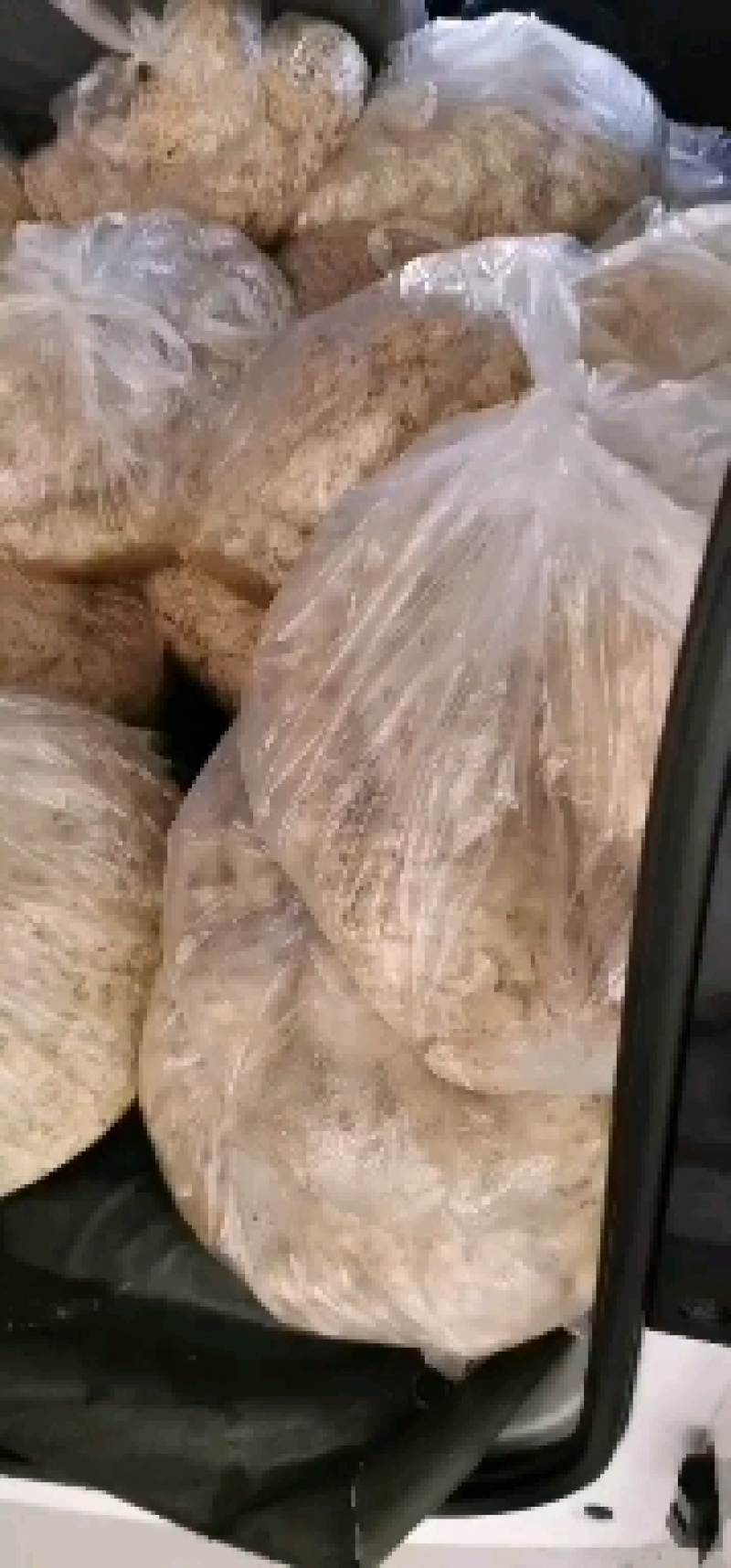 大白花