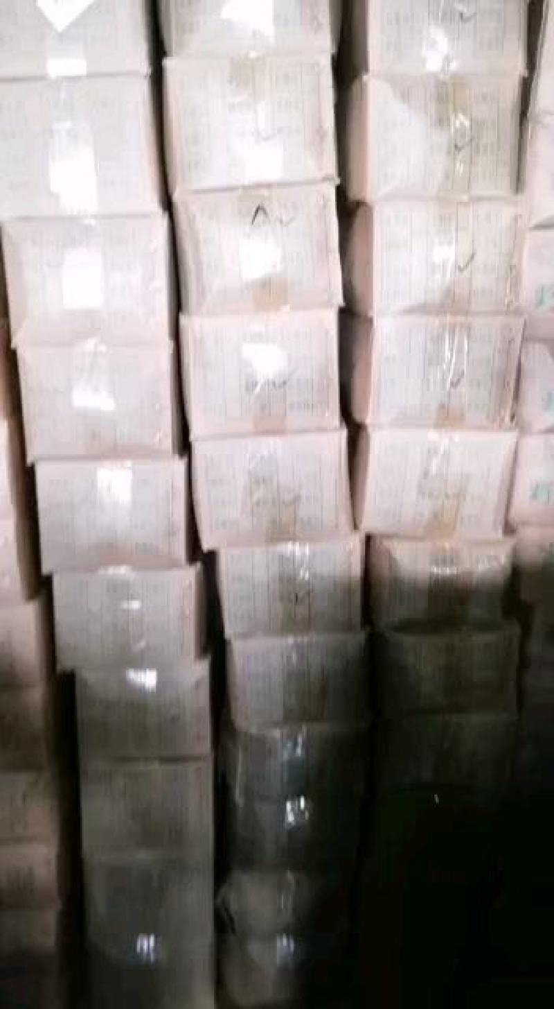 云南山林野菜