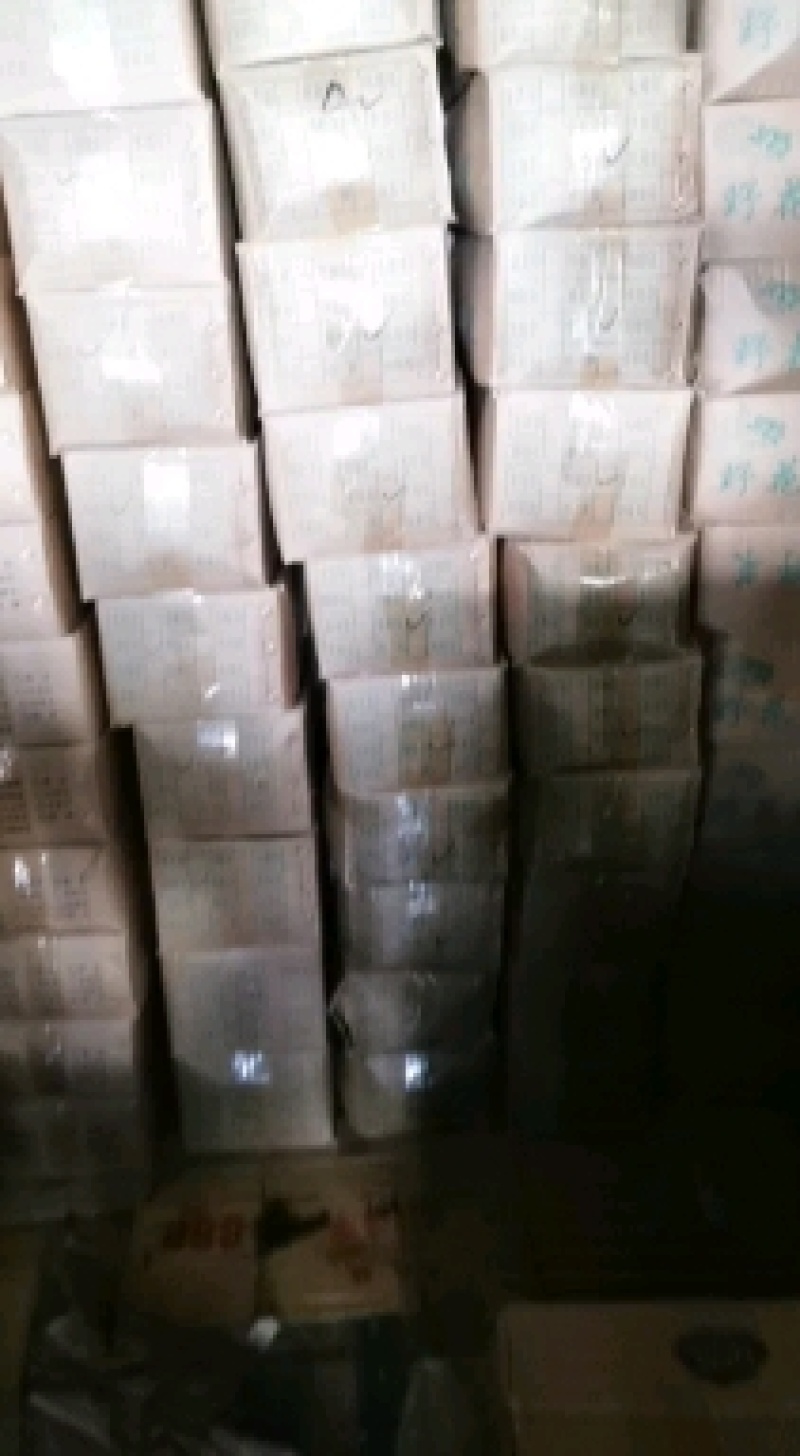 云南山林野菜