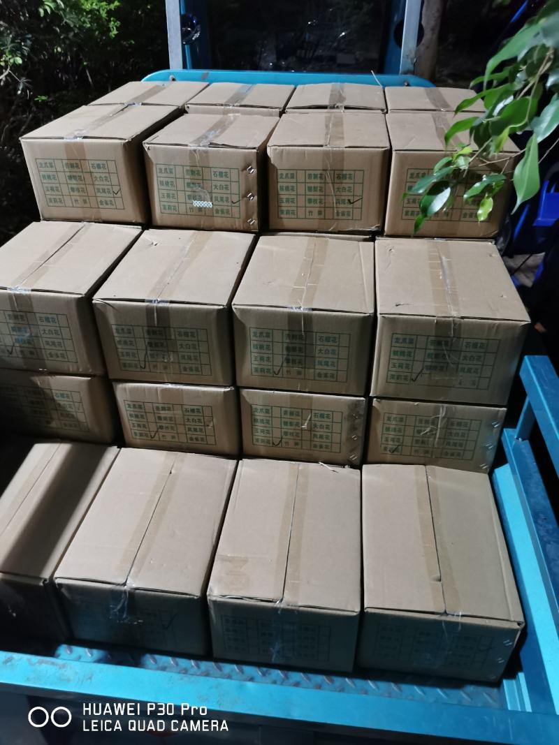 云南山林野菜