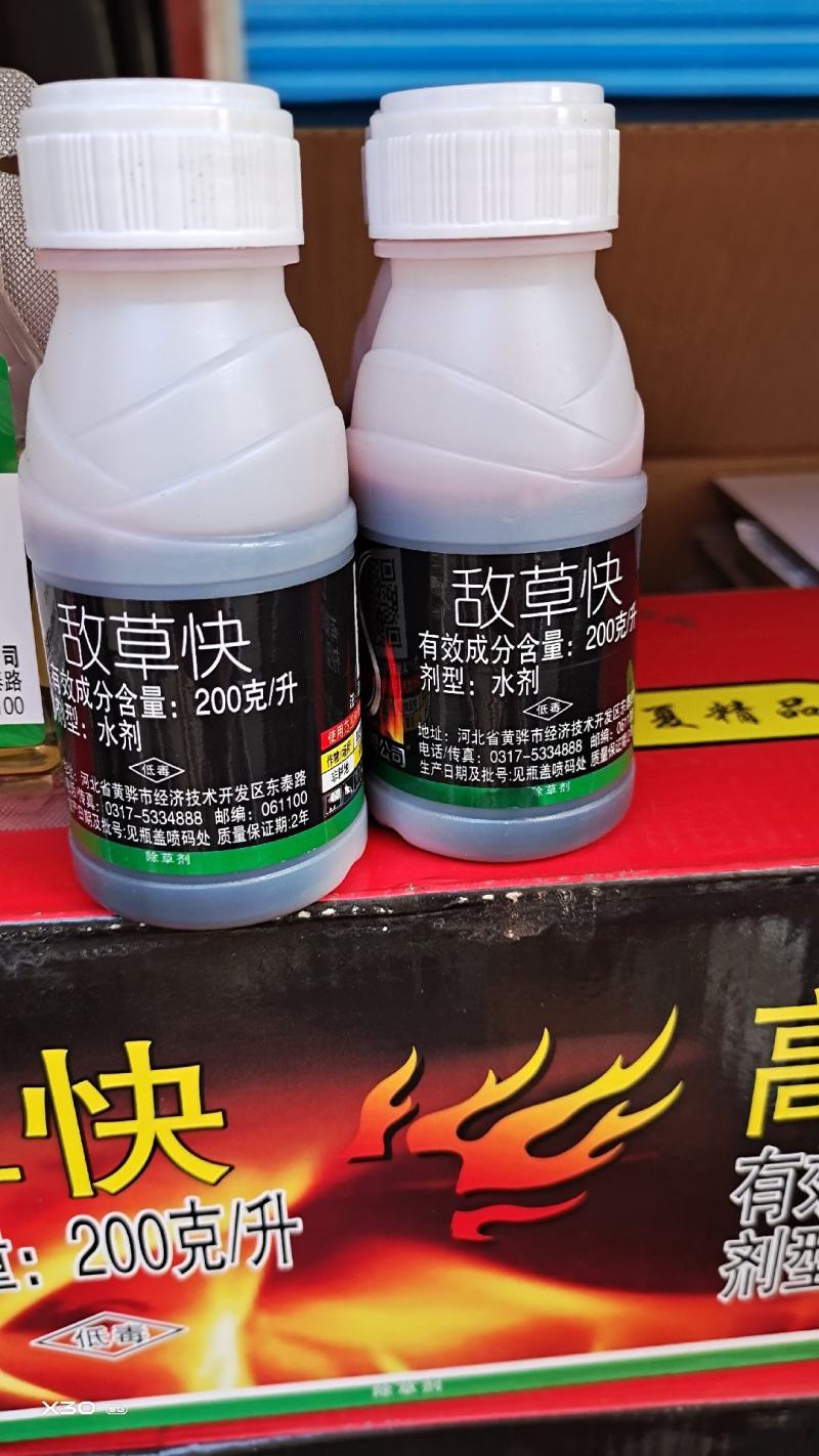 敌草快专打小飞蓬，牛筋草，果园林地，苹果园，柑橘