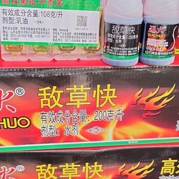 敌草快专打小飞蓬，牛筋草，果园林地，苹果园，柑橘