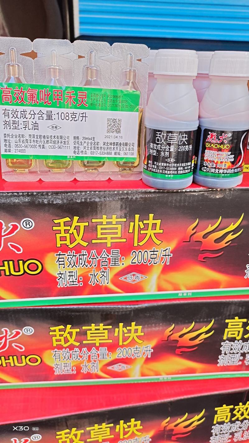 敌草快专打小飞蓬，牛筋草，果园林地，苹果园，柑橘