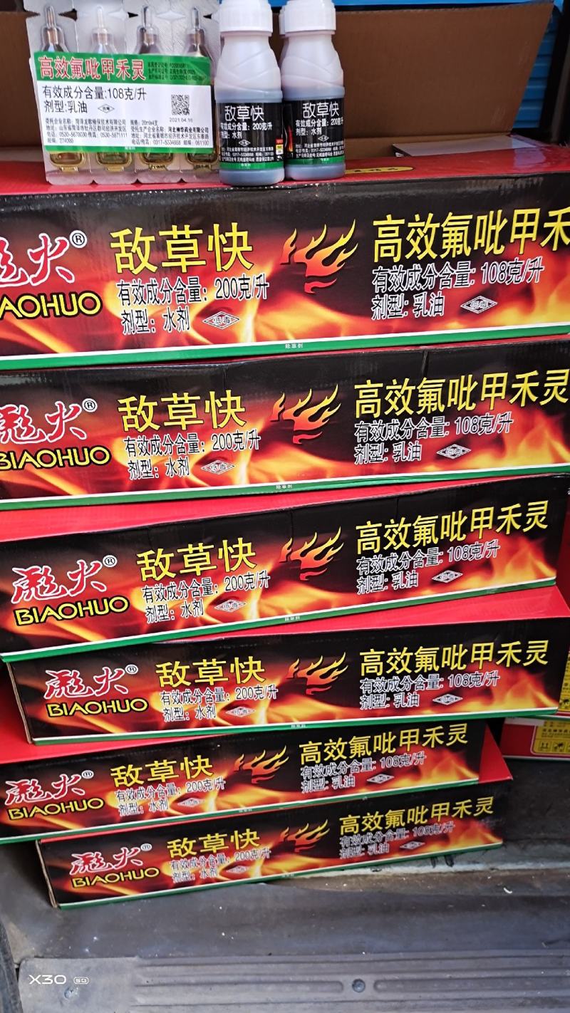 敌草快专打小飞蓬，牛筋草，果园林地，苹果园，柑橘