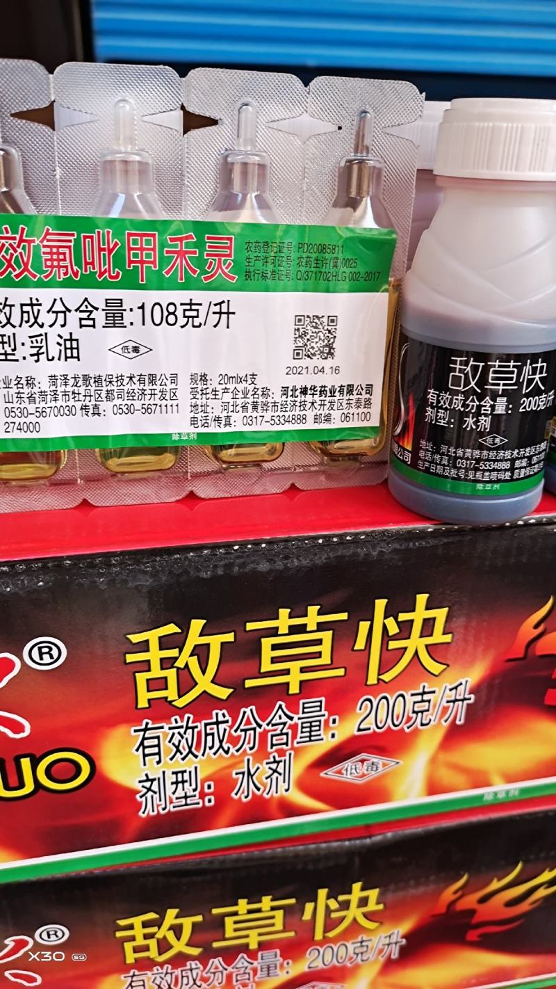 敌草快专打小飞蓬，牛筋草，果园林地，苹果园，柑橘