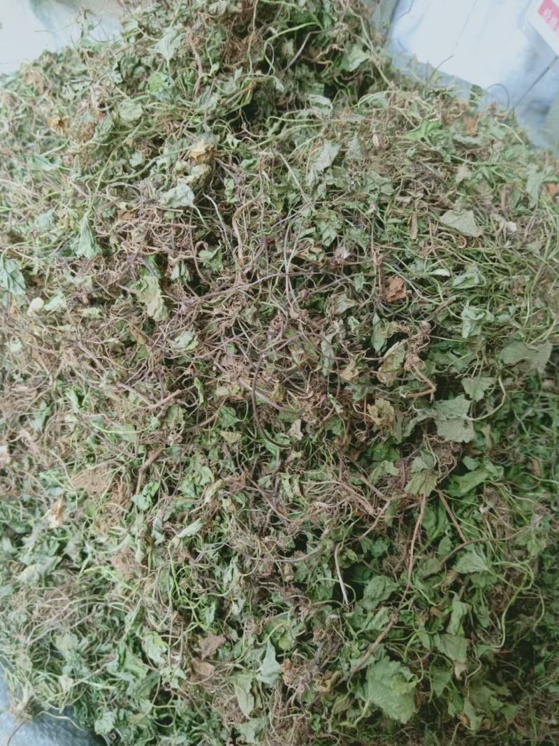 积雪草～雷公根～颜色青绿19～颜色没那绿16量大优惠～