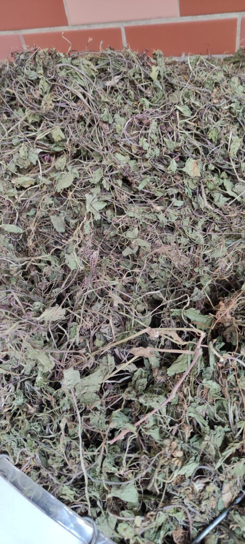 积雪草～雷公根～颜色青绿19～颜色没那绿16量大优惠～