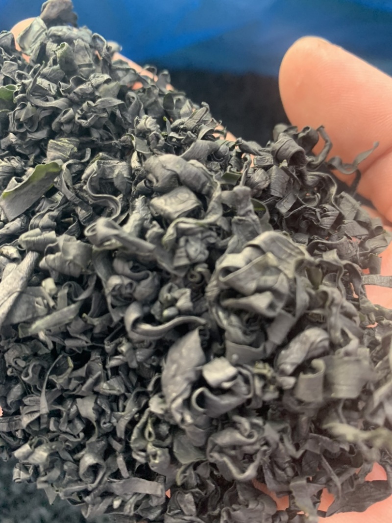 裙带菜又名螺旋藻厂家直发品质好价格优欢迎联系