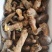 牛肝菌，黑牛肝