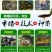 泥鳅苗生长周期短，三个半月出栏亩产5000斤