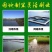 泥鳅苗生长周期短，三个半月出栏亩产5000斤