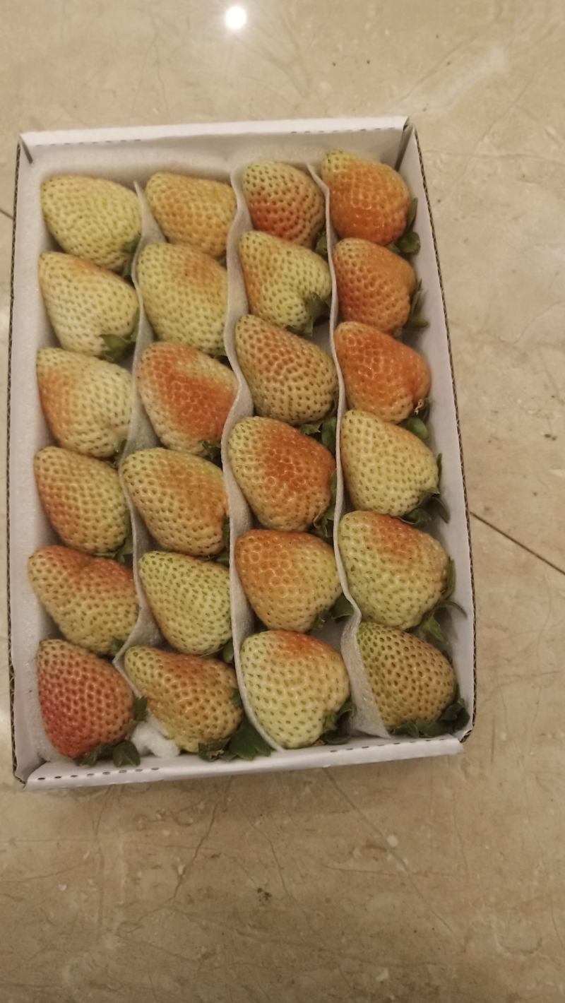 草莓云南四季草莓大量供应欢迎咨询产地直发一手货源