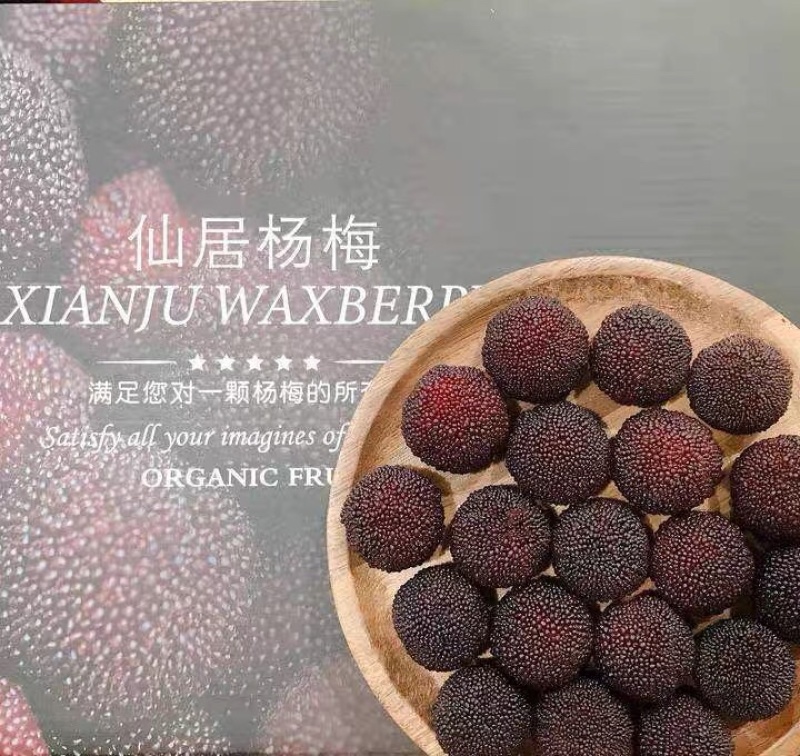 东魁杨梅大量上市现摘现卖量大从优欢迎购买